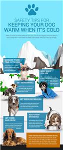 Dog Winter Safety Tips